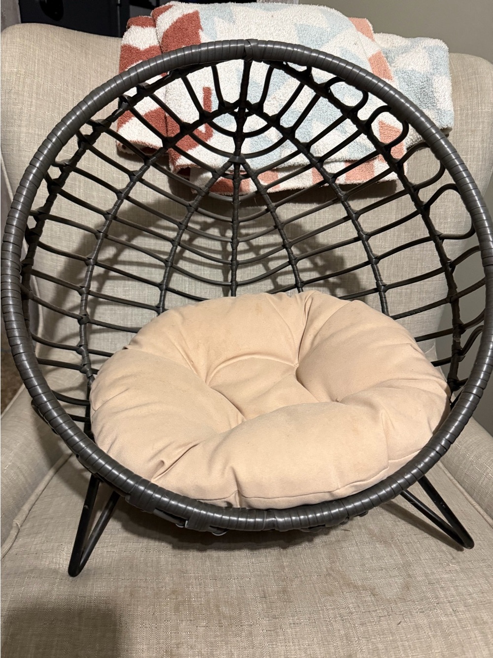 Cat bad-Neutral Beige Round Cushion Papasan Accent Chair - Brand